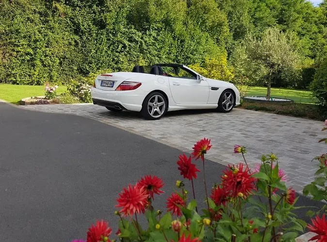 Bed & Breakfast Au Chant Des Oiseaux Le Torquesne