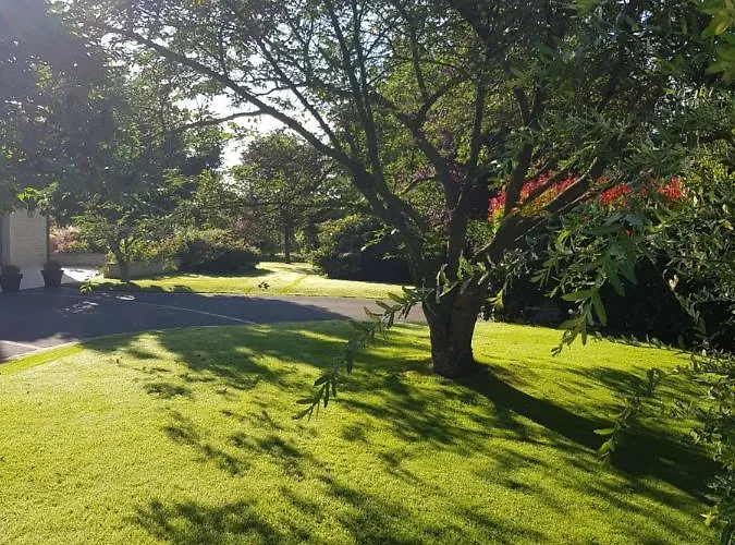 Bed & Breakfast Au Chant Des Oiseaux Le Torquesne